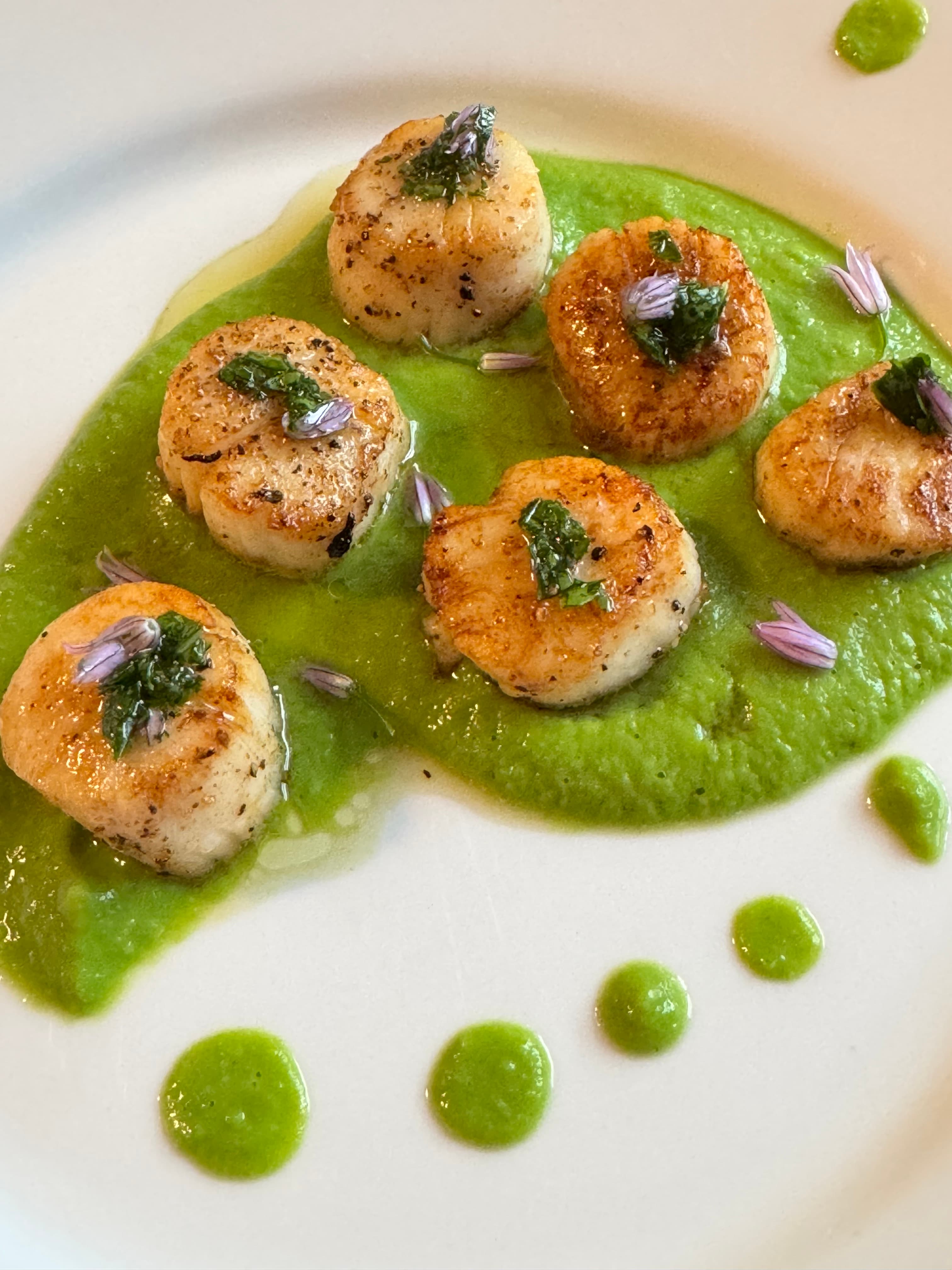 Seared Scallops with Ramp & Pea Puree