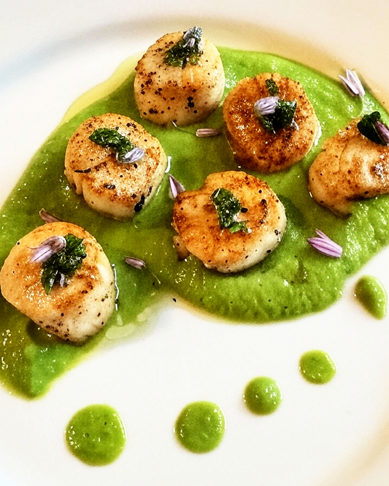 Seared Scallops with Chicago Ramp and Pea Purée